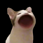 Sasouking