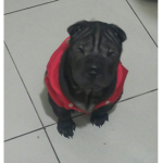 Mica es fea