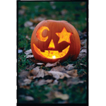 Kryptic Pumpkin