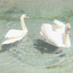 ✧