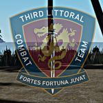 ||3MLR|| - 3rd Littoral Combat Team