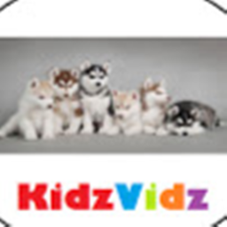 K!dz Vidz [OFFICIAL CLOTHING STORE]