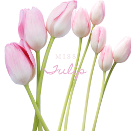 Miss Tulip Homestore