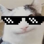 Katzen_klub