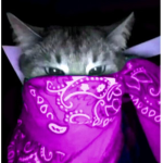 ギ D3STR0YS