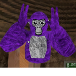 Monkeysgtag