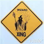 Wizards Only Fools™