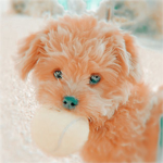 lovely elli