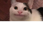 Pet simulator c pro group