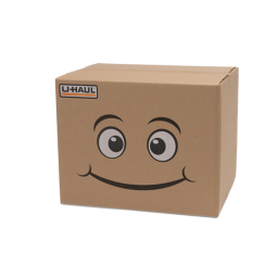 BOX (WORK IN PROGRESS!)