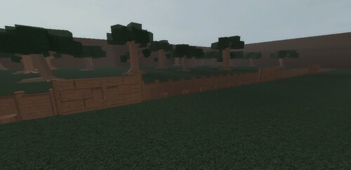 The Western Front
