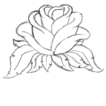 ---Flowers—-