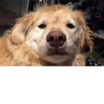 UhHeheHi