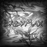 Bridy Maxx