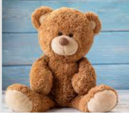 Teddy hangout