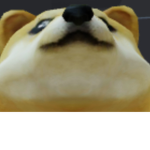 Doge group (welcome)