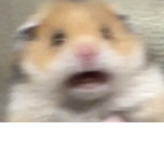 The SCP foundation RRT