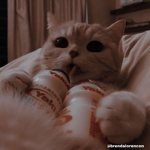 Tiggles <3
