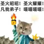 免费美国这一块