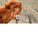 XxxJupxiterxxX XxxSatxurnxxX