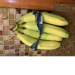 Bananas_go@ted
