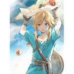 The Legend Of Zelda Simps