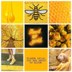 bee-clothing