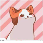 popcat game