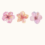 Little Jewels