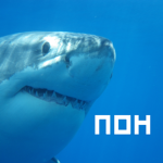 пон алтарь