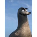 Hihdjsjhshs
