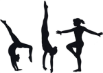 Awesome Gymnastics