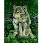 Wolf orphanage