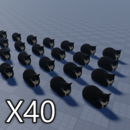 Donate to 40 Cats :D