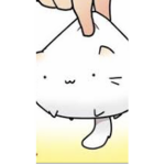 Ladybirdmeow group