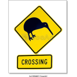 Kiwi crossing