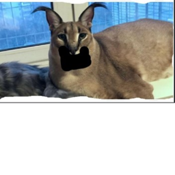 ScratchPost