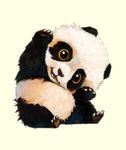 00PandaWrld