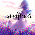 windflower
