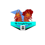 The Corrupted Dragons Guild