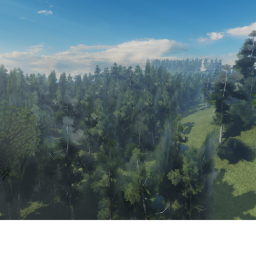 Forest Exploration (BETA)
