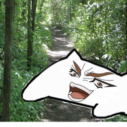 The Trail