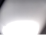 Bee simulator fan group