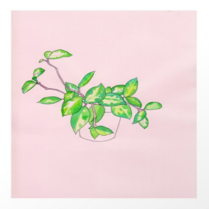 pink house plant Roblox decal
