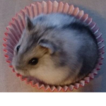 Kawaiizilla