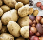 OUTLAW POTATO