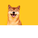 Doge_and_Friends