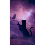 |+ Galaxy Roleplay Group +|