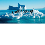 Antartica is cold