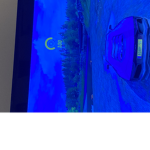 Roblox Shows For You